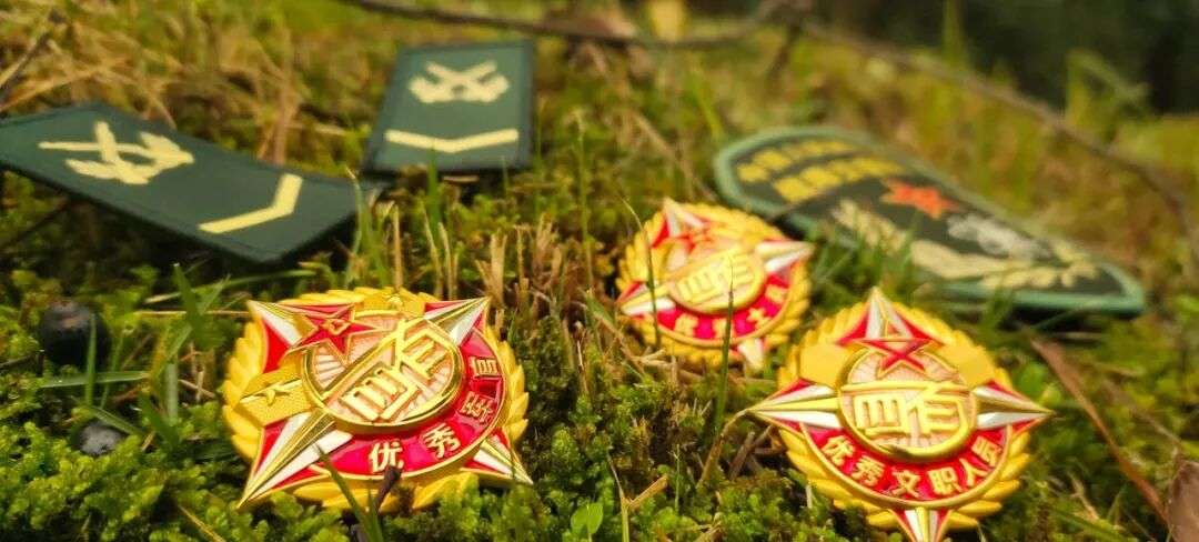 限时14天免费学！四有在即，2026士兵提干全程班六班正式启动招生